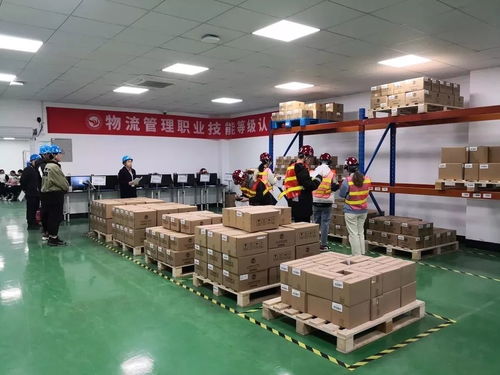 走過2019，奮斗的足跡——成果展學(xué)院篇之外語外貿(mào)學(xué)院、建筑工程學(xué)院、創(chuàng)意設(shè)計(jì)學(xué)院與策劃創(chuàng)意服務(wù)